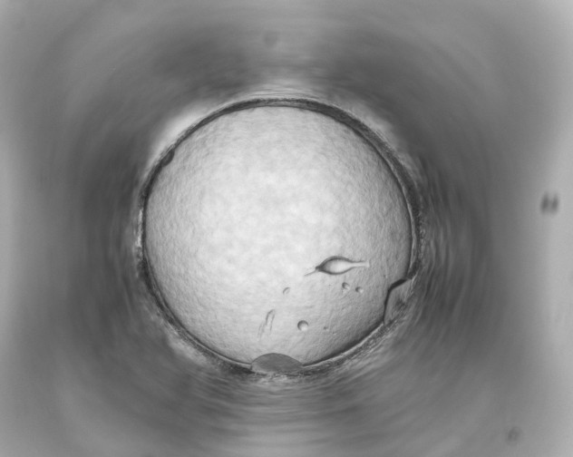 X0000093611366200711051210