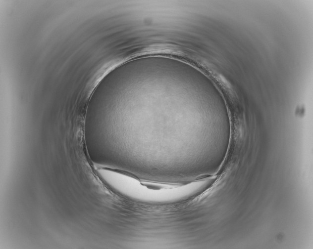 X0000093611369200711051210
