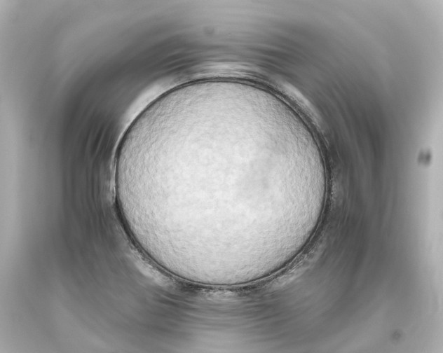 X0000093611370200711051210