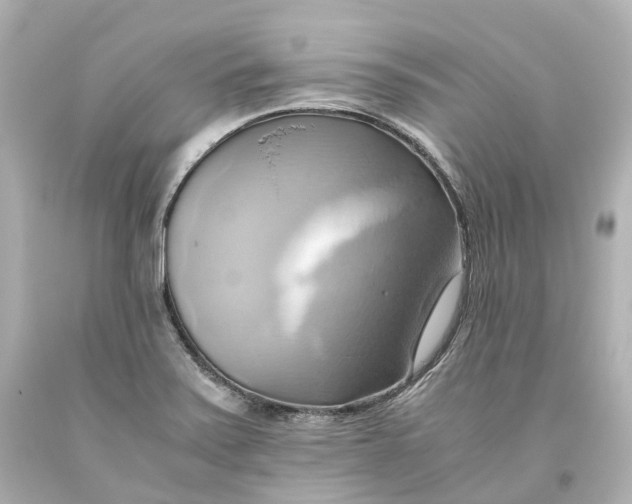 X0000093611371200711051210