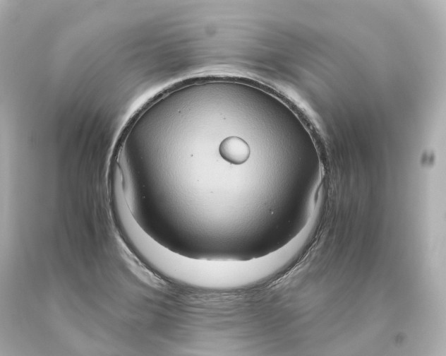 X0000093611372200711051210