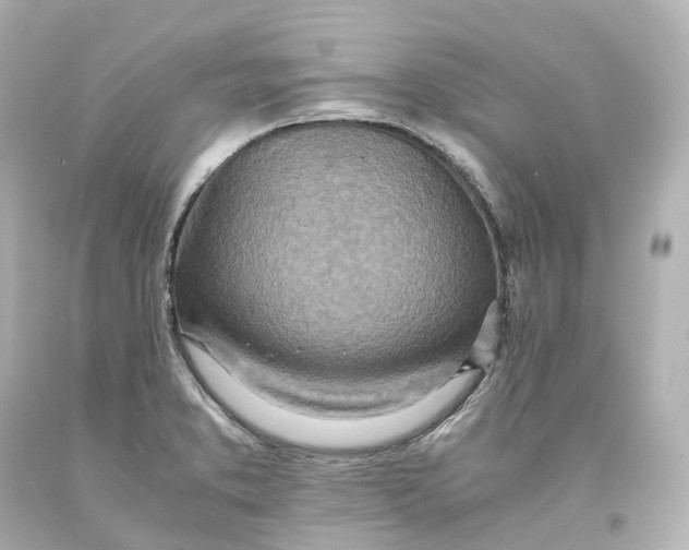 X0000093611373200711051210