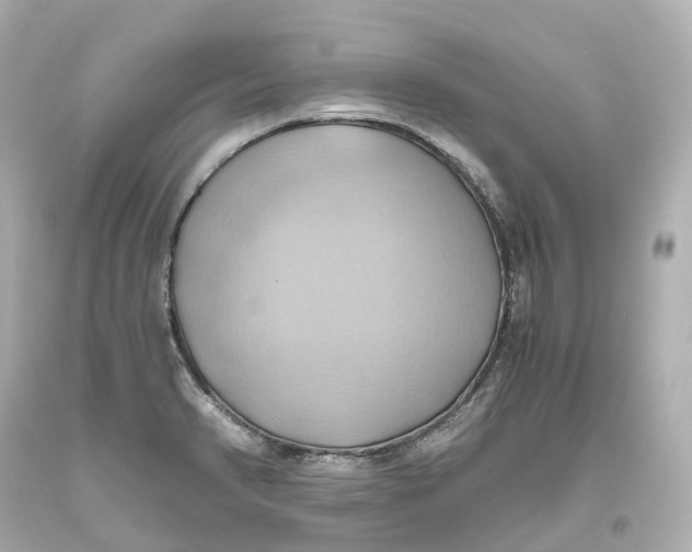 X0000093611374200711051210