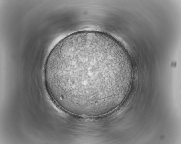 X0000093611375200711051210