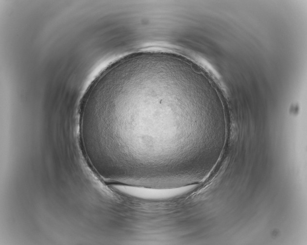X0000093611376200711051210