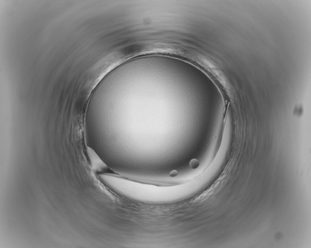 X0000093611377200711051210