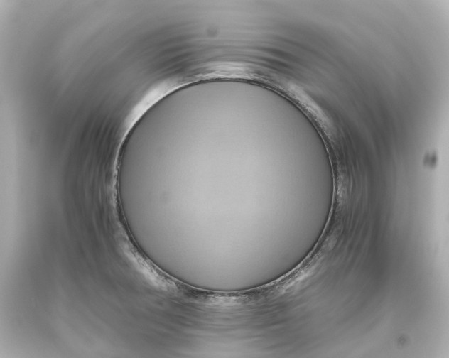 X0000093611378200711051210