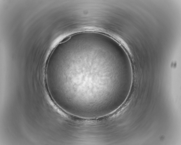 X0000093611381200711051210