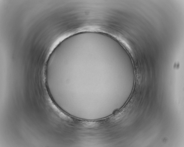 X0000093611382200711051210