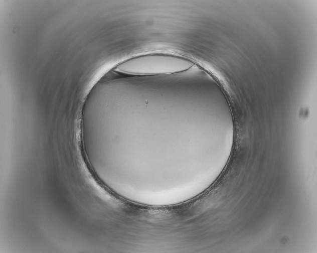X0000093611383200711051210