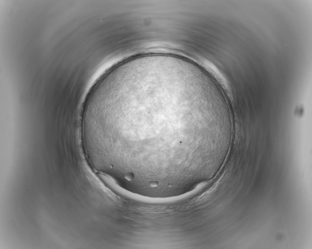 X0000093611384200711051210