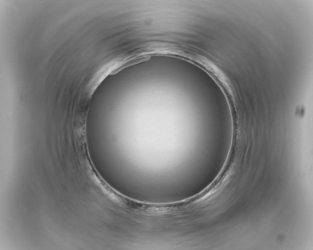 X0000093611385200711051210