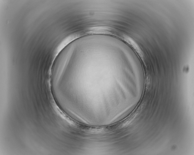 X0000093611386200711051210