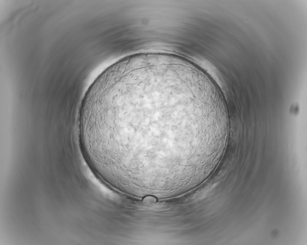 X0000093611387200711051210