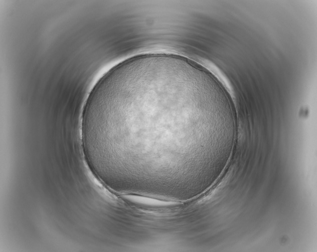 X0000093611388200711051210