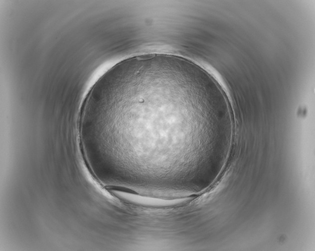 X0000093611389200711051210