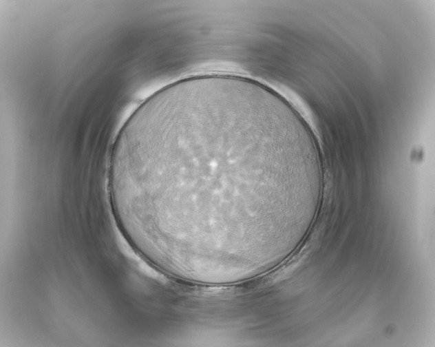 X0000093611390200711051210