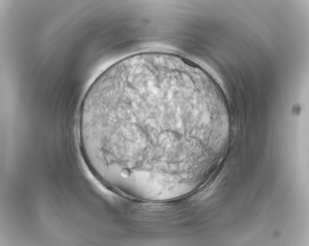 X0000093611391200711051210