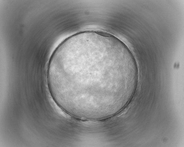 X0000093611392200711051210