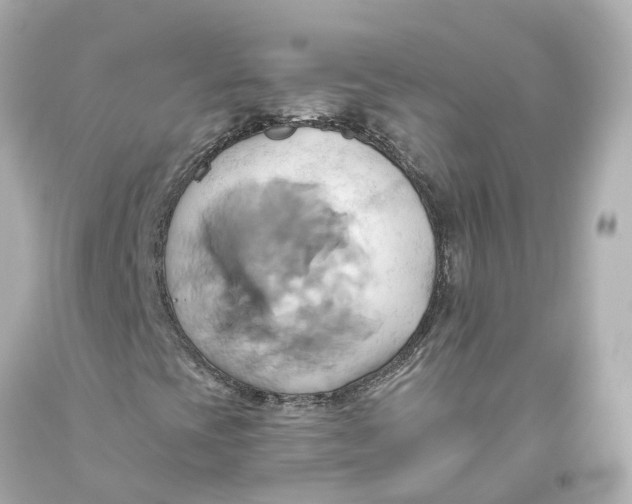 X0000093611393200711051209