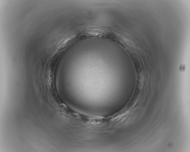 X0000093611394200711051209