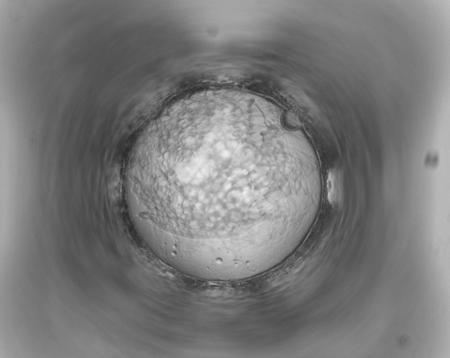 X0000093611395200711051209