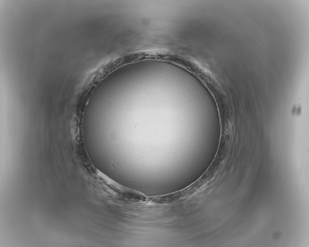 X0000093611398200711051209