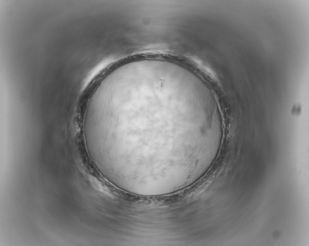 X0000093611400200711051209