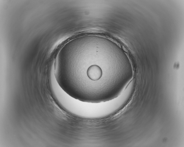 X0000093611402200711051209