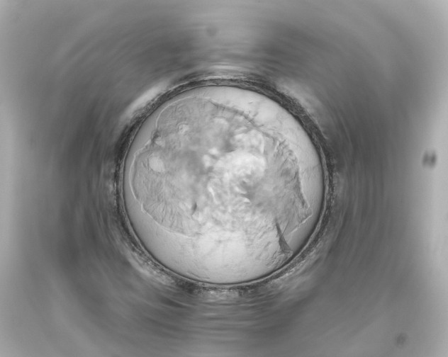 X0000093611403200711051209