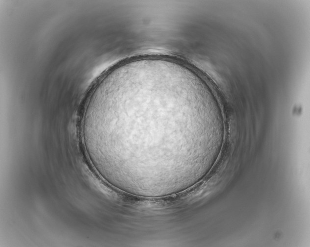 X0000093611404200711051209