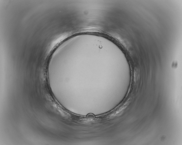X0000093611405200711051209