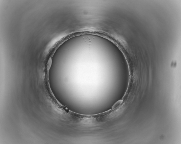 X0000093611406200711051209