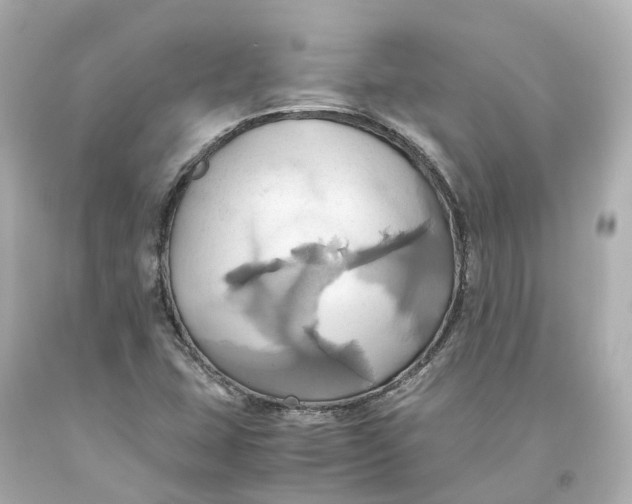 X0000093611407200711051209
