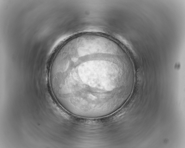 X0000093611408200711051209