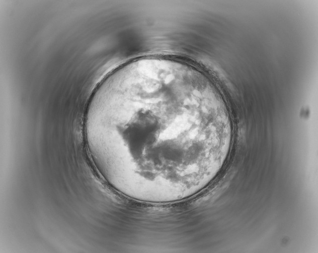 X0000093611409200711051209
