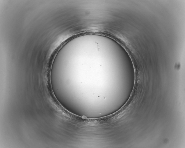 X0000093611410200711051209