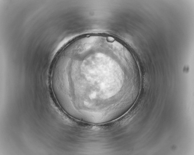 X0000093611412200711051209