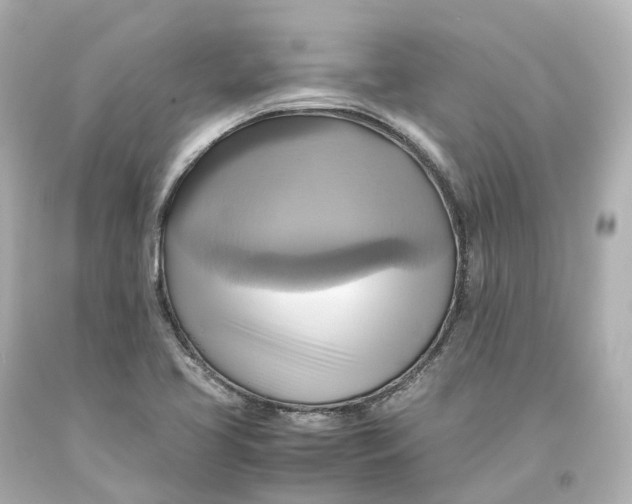 X0000093611413200711051209