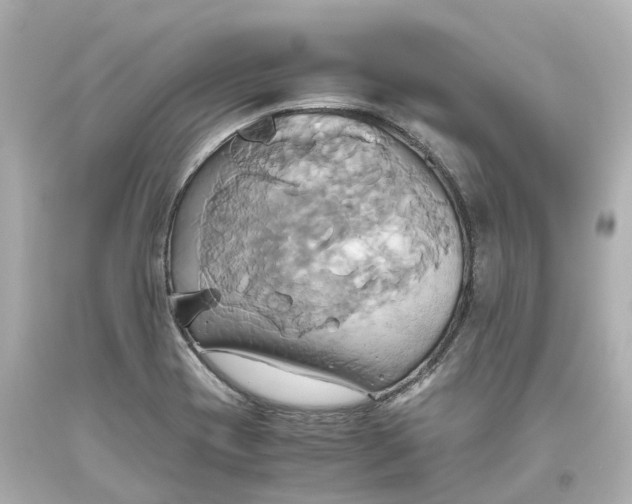 X0000093611417200711051210