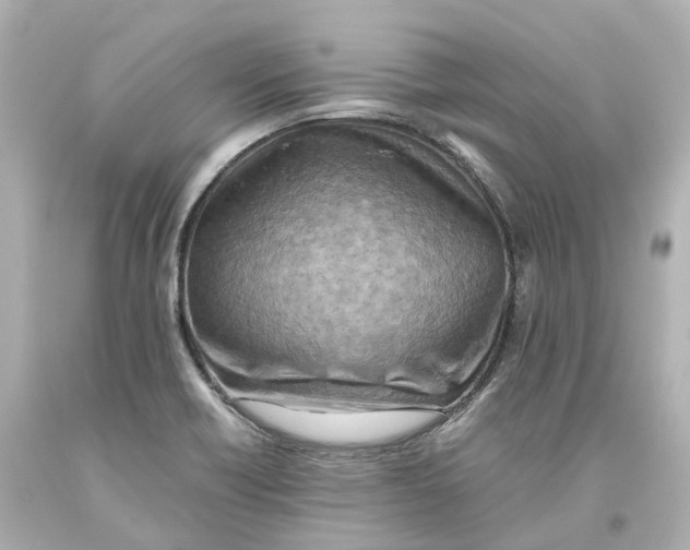 X0000093611418200711051210