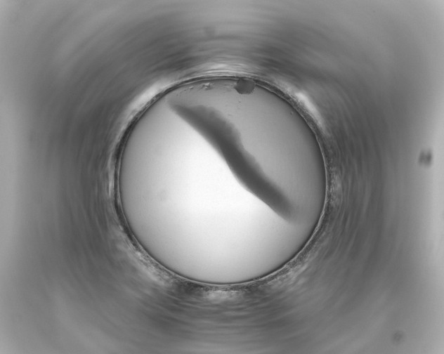 X0000093611419200711051210