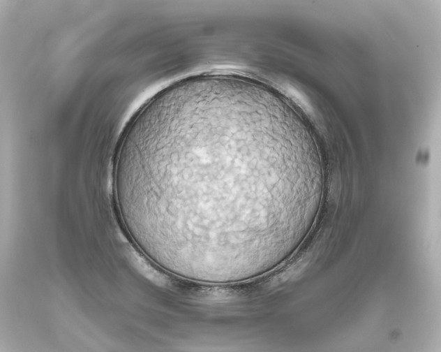 X0000093611420200711051210