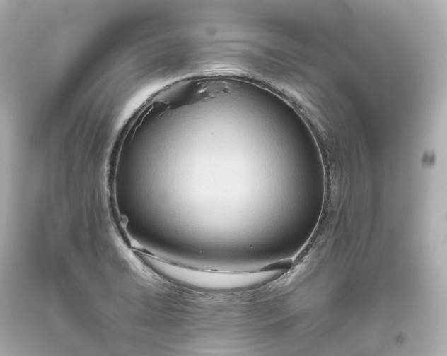 X0000093611422200711051210