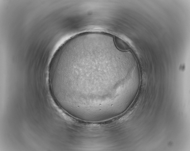 X0000093611424200711051210