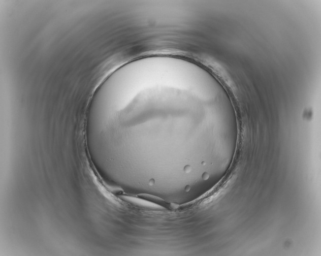 X0000093611425200711051210