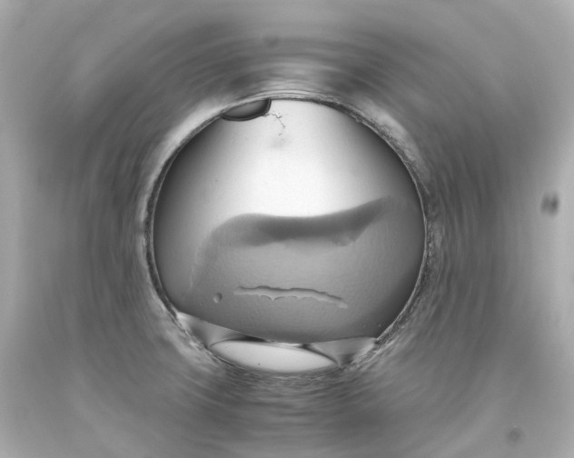 X0000093611427200711051210