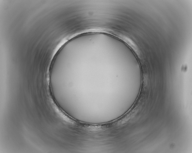 X0000093611428200711051210