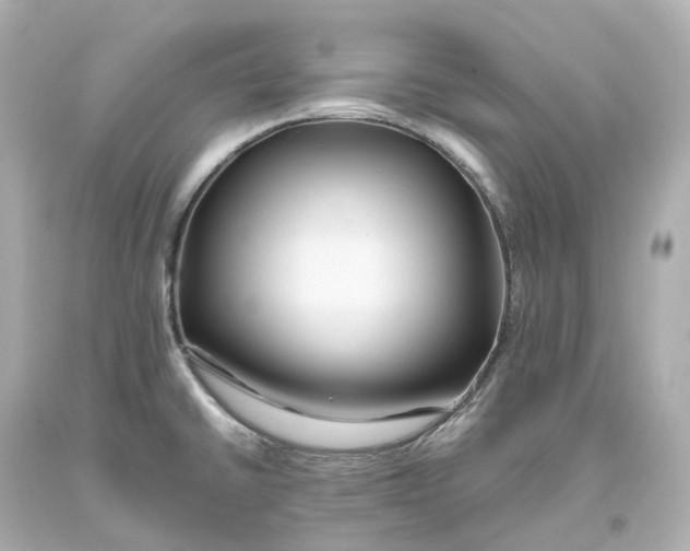 X0000093611430200711051210
