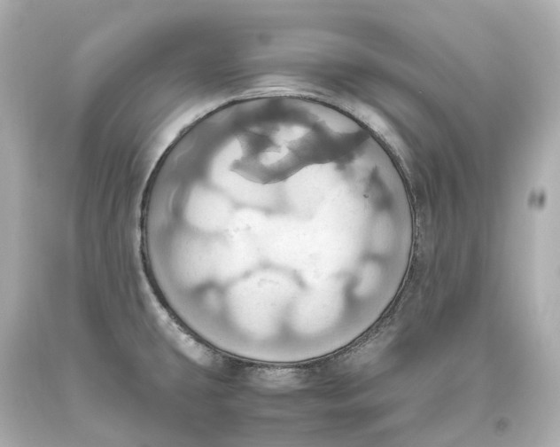 X0000093611431200711051210